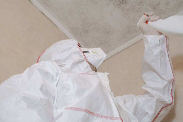 Best Home Mold Removal  in Bloomingdale, GA